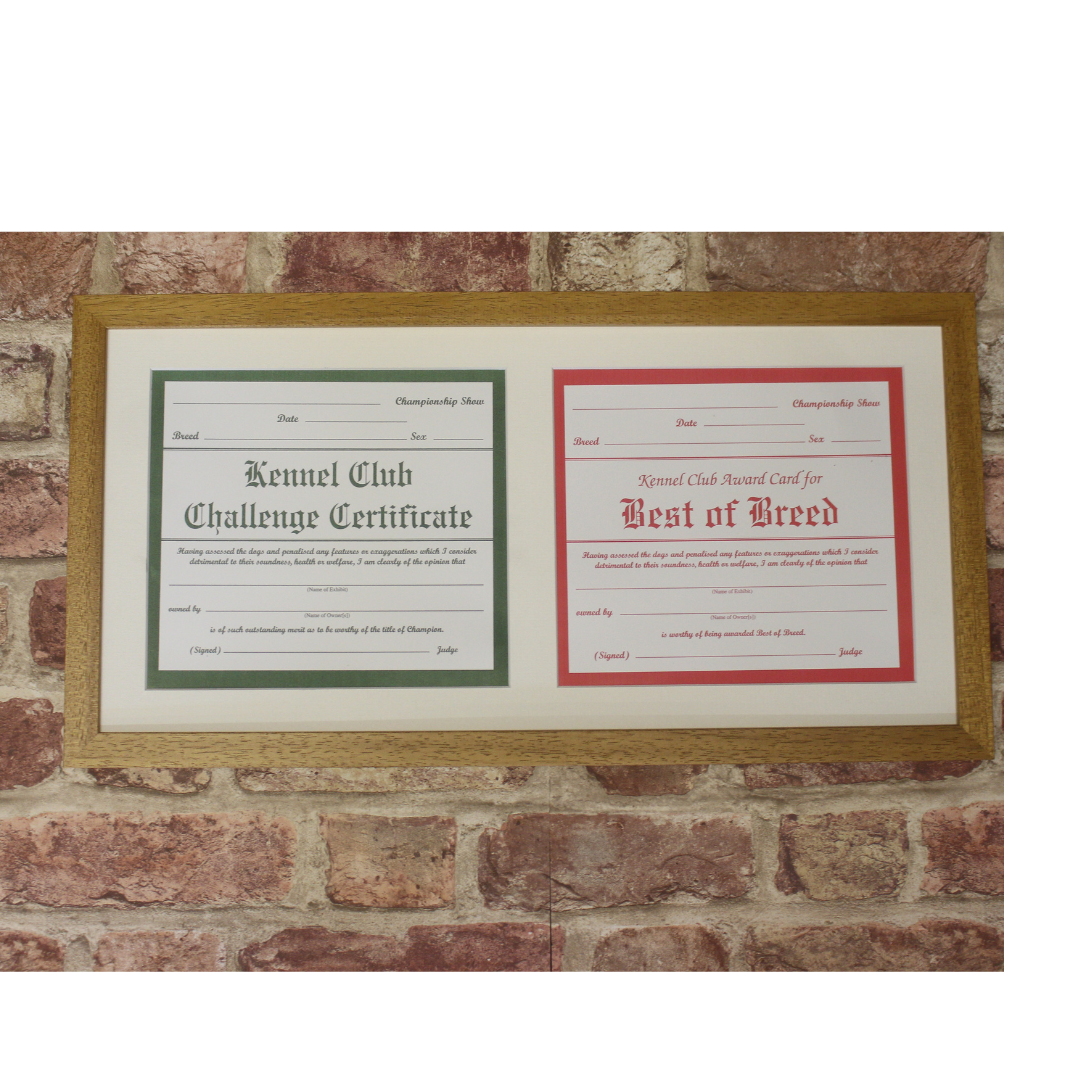 BEST OF BREED CERTIFICATE FRAME | Awardboard Shop